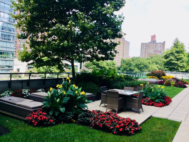 Landscape Construction Services